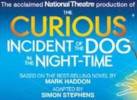 curious-incident-of-the-dog-in-the-night-time